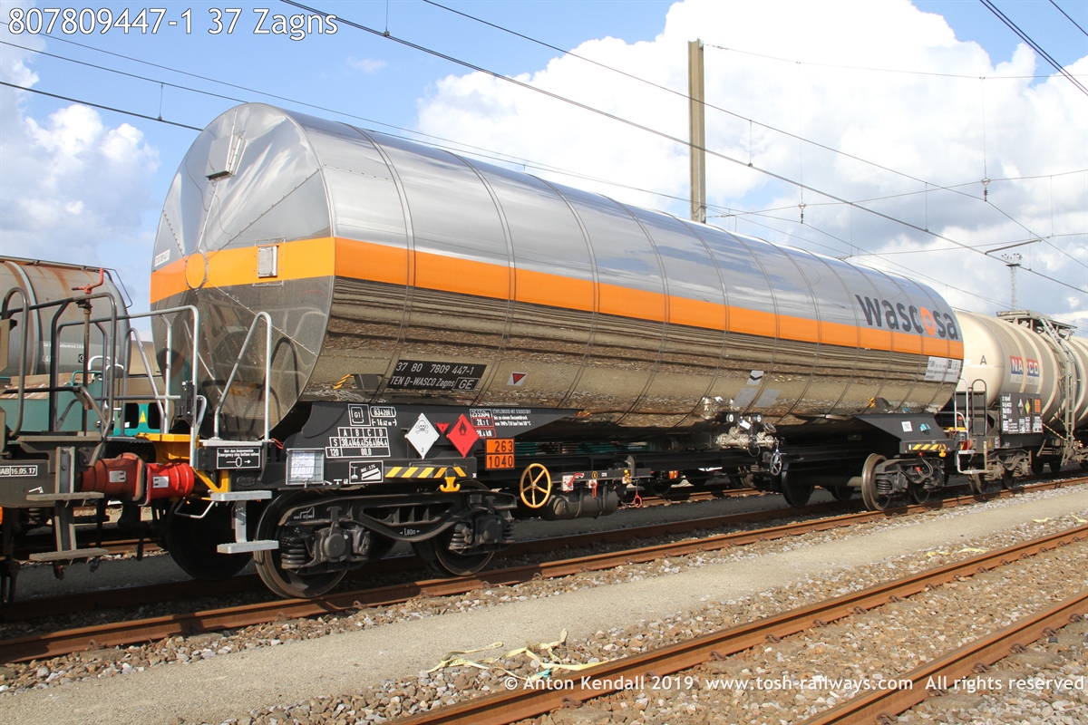 807809447-1_37 Zagns.JPG